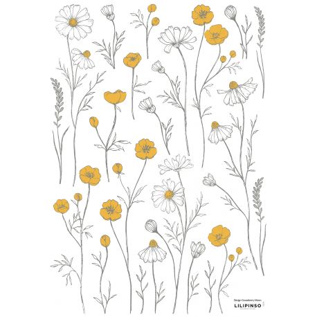 Planche de stickers A3 - Boutons d'or et fleurs de camomille