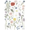 Planche de stickers A3 - Fleurs des champs Bleut et Coquelicot