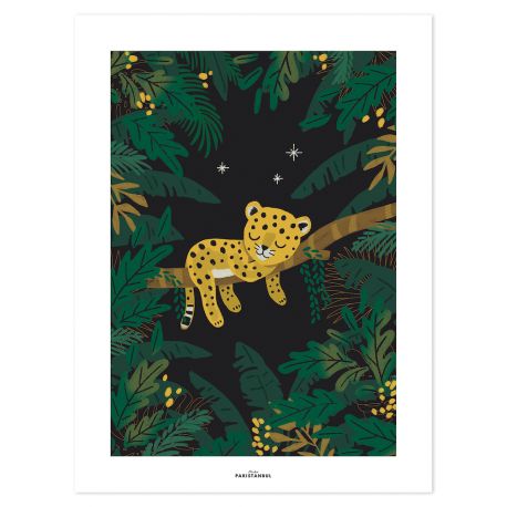 Affiche - Petit guepard endormi