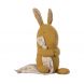 Lullaby friends - Lapin