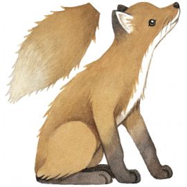 Sticker - Le Renard