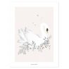 Affiche - Cygne - Fond rose