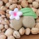 Jouet en caoutchouc naturel - Aly the Almond