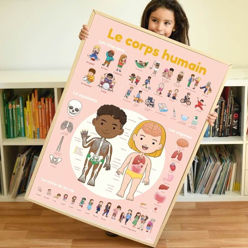 Poppik - Poster éducatif avec stickers repositionnables - Le corps humain -  Le Petit Zèbre