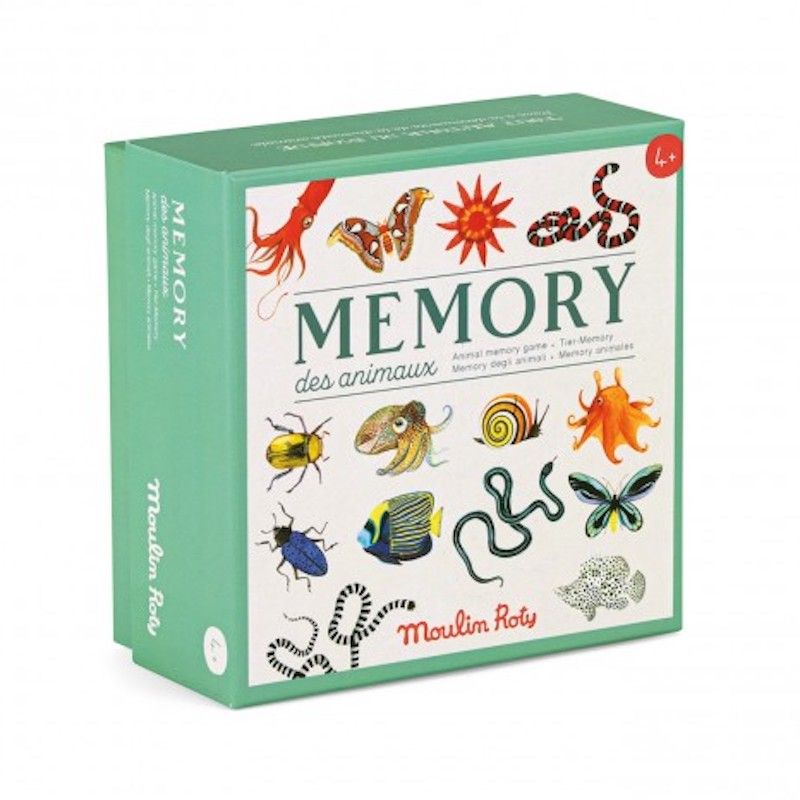Remember Jeu de mémoire de Voyage du Monde - Jeu de mémoire pour Adultes et  Enfants à partir de 4 à 44 Paires d'images - Boîte magnétique Pratique 