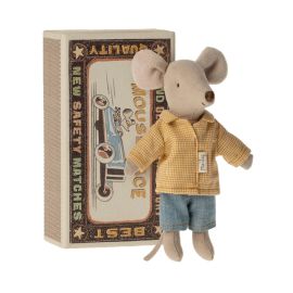 Grand frère souris dans sa boîte d'allumettes