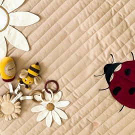 Couverture de jeu - Ladybug