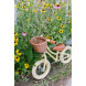 Banwood First Go draisienne - vanilla