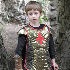 super déguisement de chevalier 'Brave Heart' t3-8 ans